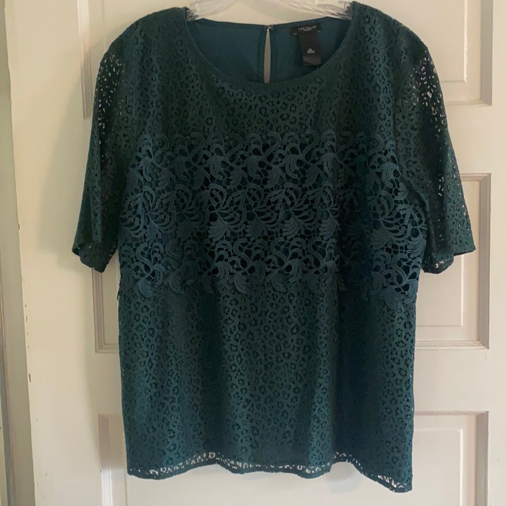 Ann Taylor Loft Top NWT